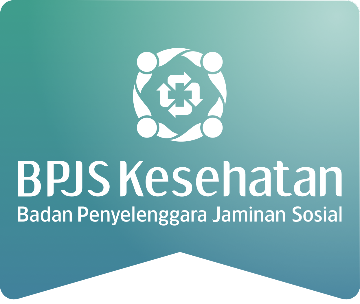 Diary BPJS Kesehatan Dashboard